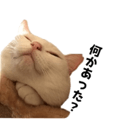 ame cocco sticker #14455384