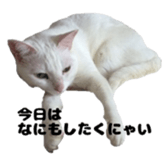 ame cocco sticker #14455385