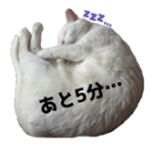 ame cocco sticker #14455386