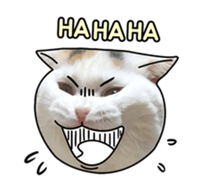 MongSongMongSong sticker #14456315