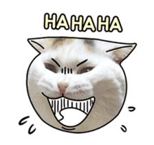 MongSongMongSong sticker #14456315