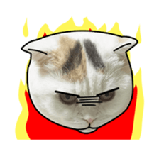 MongSongMongSong sticker #14456319