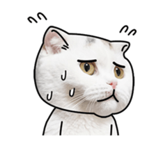 MongSongMongSong sticker #14456321