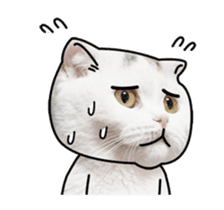 MongSongMongSong sticker #14456321