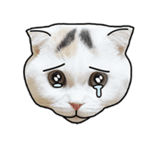 MongSongMongSong sticker #14456323