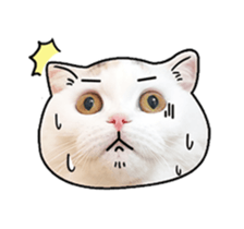 MongSongMongSong sticker #14456325