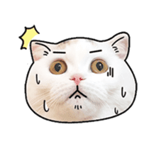 MongSongMongSong sticker #14456325