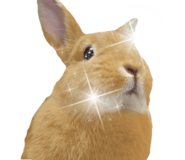 Rabbit's Pee (Guest Mu-chan) sticker #14457753