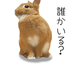 Rabbit's Pee (Guest Mu-chan) sticker #14457758