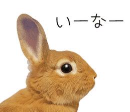 Rabbit's Pee (Guest Mu-chan) sticker #14457777