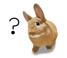 Rabbit's Pee (Guest Mu-chan) sticker #14457778