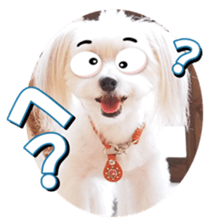 doggiesfan2 sticker #14460271