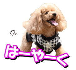 doggiesfan2 sticker #14460273