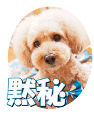 doggiesfan2 sticker #14460274