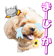 doggiesfan2 sticker #14460275