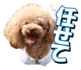 doggiesfan2 sticker #14460276
