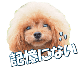 doggiesfan2 sticker #14460284