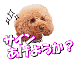 doggiesfan2 sticker #14460285