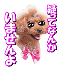 doggiesfan2 sticker #14460287