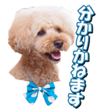 doggiesfan2 sticker #14460288