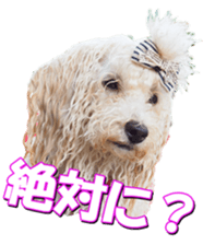 doggiesfan2 sticker #14460292