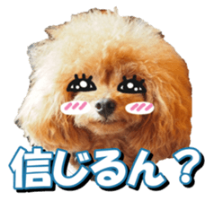 doggiesfan2 sticker #14460293