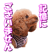 doggiesfan2 sticker #14460294