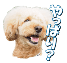 doggiesfan2 sticker #14460296