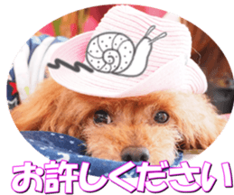 doggiesfan2 sticker #14460300