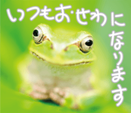 Pleasant creature Sticker sticker #14461344