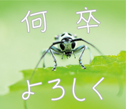 Pleasant creature Sticker sticker #14461347