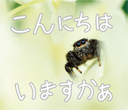 Pleasant creature Sticker sticker #14461348