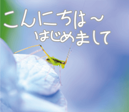 Pleasant creature Sticker sticker #14461349