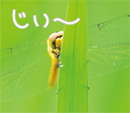 Pleasant creature Sticker sticker #14461351