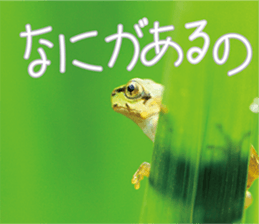 Pleasant creature Sticker sticker #14461352