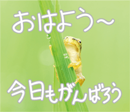 Pleasant creature Sticker sticker #14461356