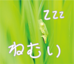 Pleasant creature Sticker sticker #14461357