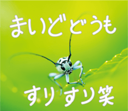 Pleasant creature Sticker sticker #14461358