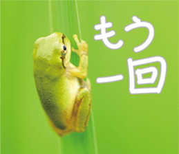 Pleasant creature Sticker sticker #14461360