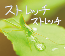 Pleasant creature Sticker sticker #14461364