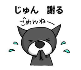 nameSticker "JUN" sticker #14461825