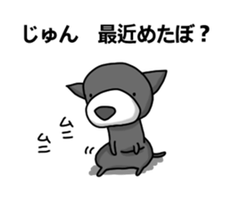 nameSticker "JUN" sticker #14461830