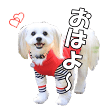 taratarafan2 sticker #14462638