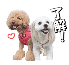 taratarafan2 sticker #14462642