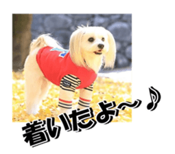 taratarafan2 sticker #14462643