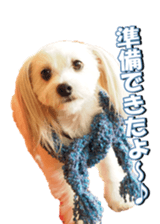 taratarafan2 sticker #14462645