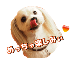 taratarafan2 sticker #14462646