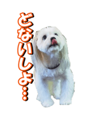 taratarafan2 sticker #14462649