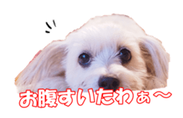 taratarafan2 sticker #14462651