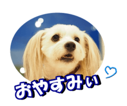 taratarafan2 sticker #14462653